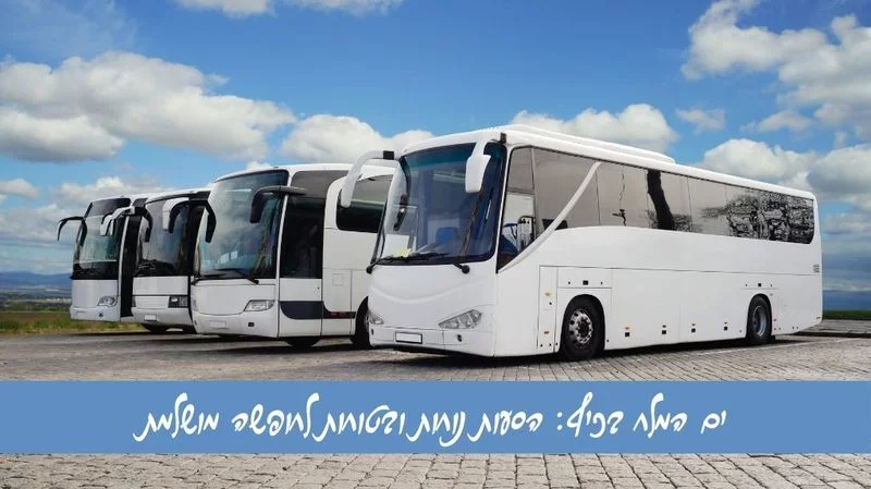 ים המלח בכיף הסעות נוחות ובטוחות לחופשה מושלמת