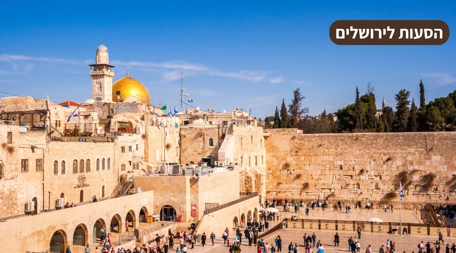 אוטובוס הסעות ברחובות ירושלים - חברת הסעות בירושלים מסיעי כל גיל