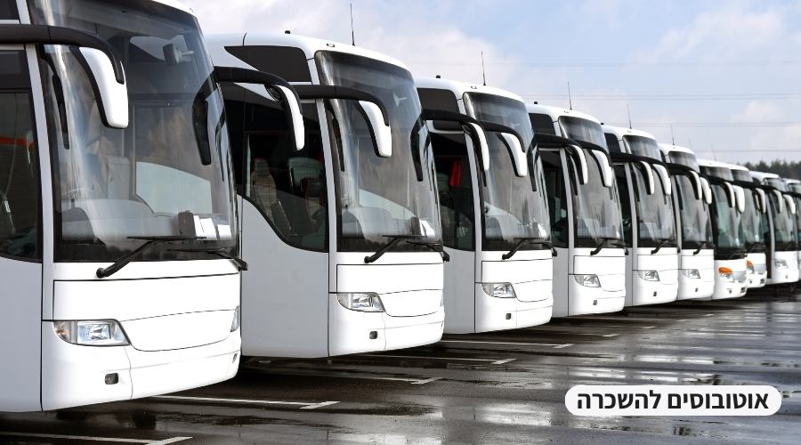 אוטובוסים להשכרה